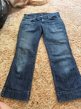 James Jeans Dark Blue Flared Denim